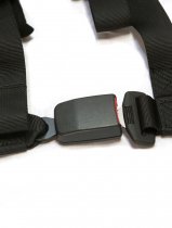 PRP 4.2, BLUE 4-Point Harnesses with Auto Latch (2)