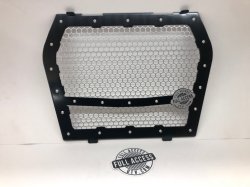 Kawasaki KRX & KRX4 Custom Grill BLACK W/Silver Octagon Mesh