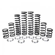 Kawasaki KRX 4 1000 Dual Rate Coil Springs, Lifetime Warranty!