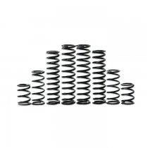 Kawasaki KRX 1000 Dual Rate Coil Springs Kit, Lifetime Warranty!